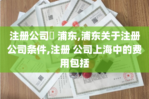 注册公司​ 浦东,浦东关于注册公司条件,注册 公司上海中的费用包括