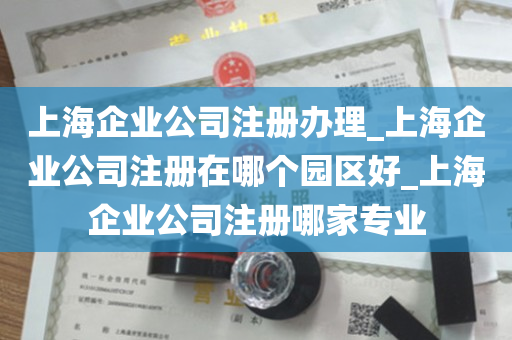 上海企业公司注册办理_上海企业公司注册在哪个园区好_上海企业公司注册哪家专业