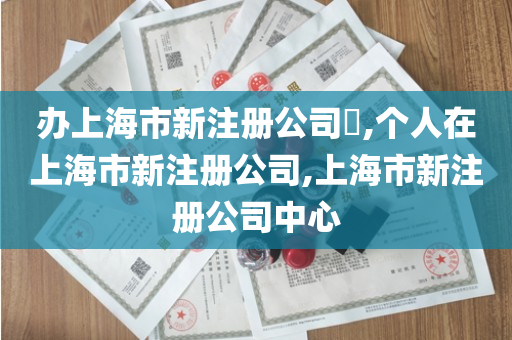办上海市新注册公司​,个人在上海市新注册公司,上海市新注册公司中心