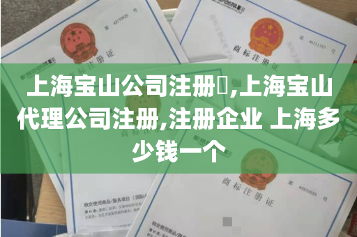 上海宝山公司注册​,上海宝山代理公司注册,注册企业 上海多少钱一个
