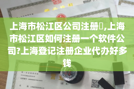 上海市松江区公司注册​,上海市松江区如何注册一个软件公司?上海登记注册企业代办好多钱