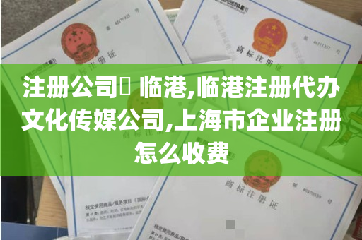 注册公司​ 临港,临港注册代办文化传媒公司,上海市企业注册怎么收费
