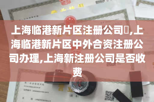 上海临港新片区注册公司​,上海临港新片区中外合资注册公司办理,上海新注册公司是否收费