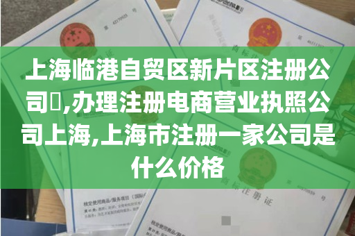 上海临港自贸区新片区注册公司​,办理注册电商营业执照公司上海,上海市注册一家公司是什么价格