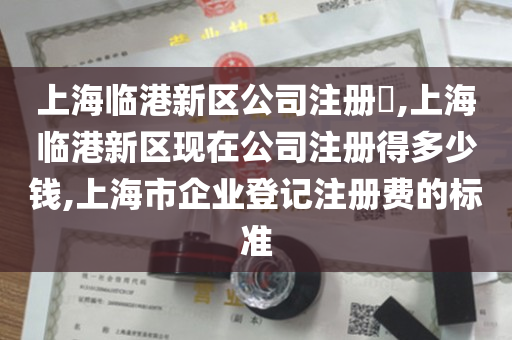 上海临港新区公司注册​,上海临港新区现在公司注册得多少钱,上海市企业登记注册费的标准