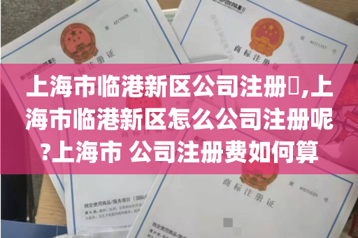上海市临港新区公司注册​,上海市临港新区怎么公司注册呢?上海市 公司注册费如何算